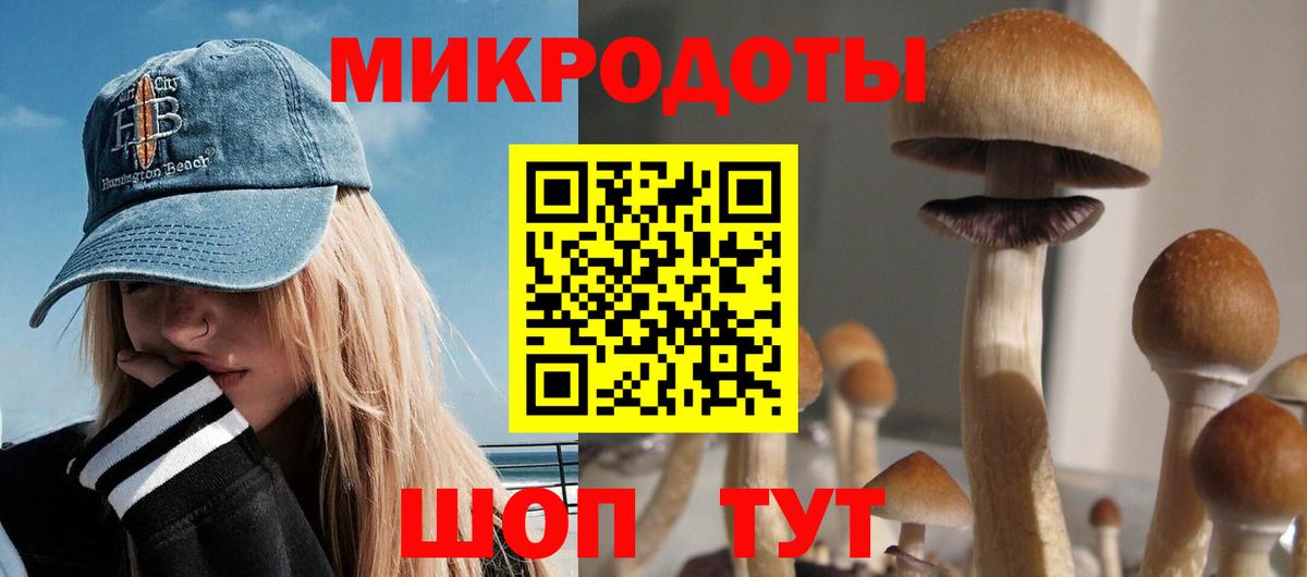 Галлюциногенные грибы Psilocybine cubensis  Вход с VPN  Сосновый Бор 