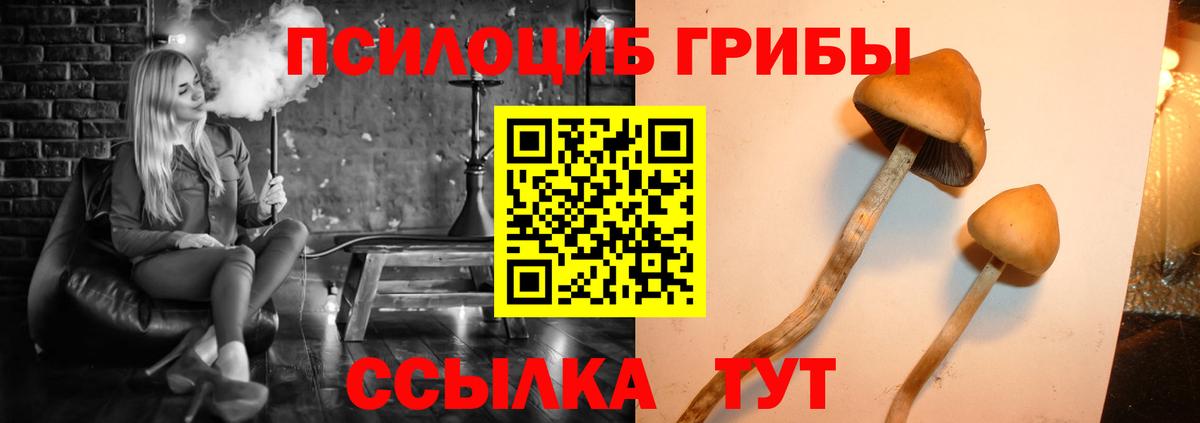 Галлюциногенные грибы прущие грибы Сосновый Бор